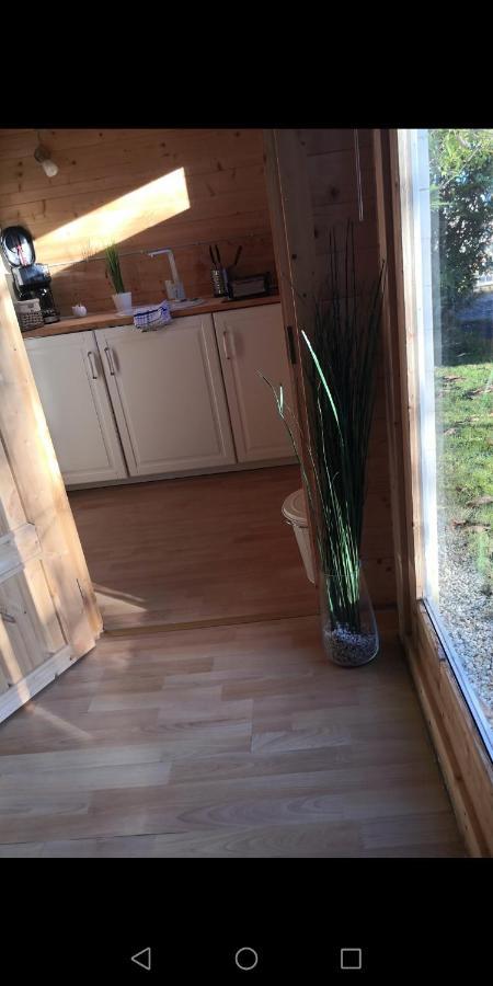 25 Qm Holz Bungalow, Garten-Grill, Gehoben, Optimiert, Massivholzbett Scharbeutz Esterno foto
